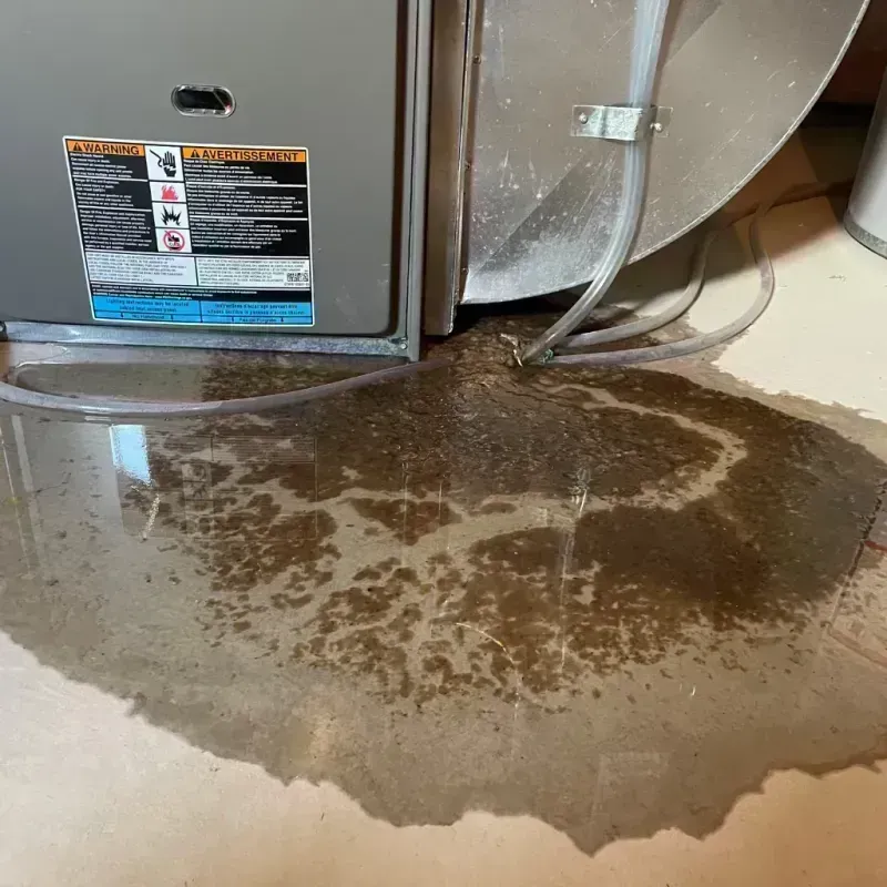 Appliance Leak Cleanup in Chesterfield, MO